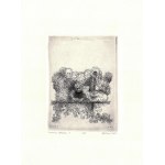 Piotr KENC (ur. 1973), Camera obscura 1, 2006