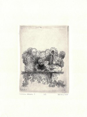 Piotr KENC (ur. 1973), Camera obscura 1, 2006