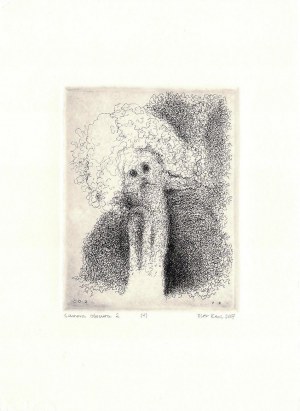 Piotr KENC (ur. 1973), Camera obscura 2, 2007
