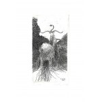 Piotr KENC (ur. 1973), Chimera, 2002