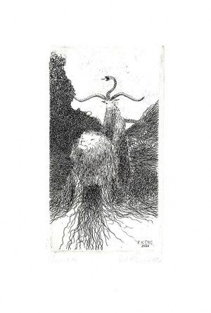 Piotr KENC (ur. 1973), Chimera, 2002