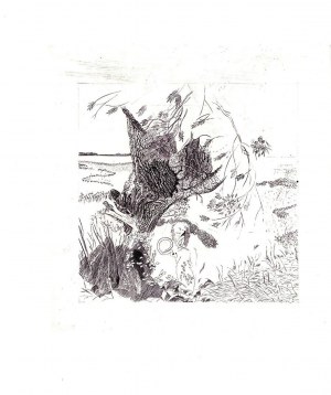 Piotr KENC (ur. 1973), Driada