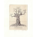 Piotr KENC (ur. 1973), Ex libris Doroty Hartwich, 2006