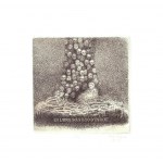 Piotr KENC (ur. 1973), Ex libris Solstizio d'Estate, 2008