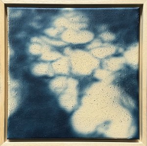 Daniel Kowacki, HARU