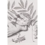 Joanna Concejo (ur. 1971), Entrez, ilustracja książkowa, 2008