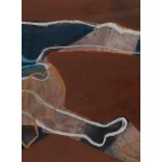 Helen Spoerri (b. 1937), Taucher 1 - set of 4 works, 1992