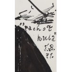 Tadeusz Brzozowski (1918 Lwów - 1987 Rzym), Pachoł hula, 1971