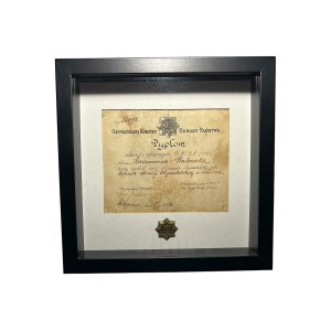Badge of the Citizens' Committee for the Defense of the State 1920 OKOP with award