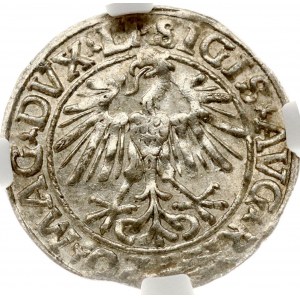 Lithuania Polgrosz 1548 Vilnius NGC MS 62