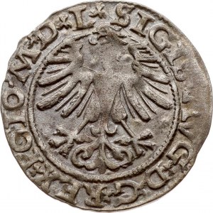 Lithuania Polgrosz 1565 Vilnius