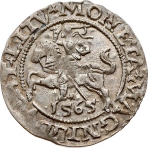 Lithuania Polgrosz 1565 Vilnius