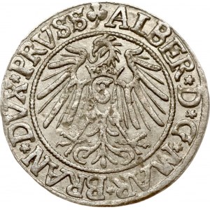 Poland Prussia (under Poland) Grosz 1542 Konigsberg
