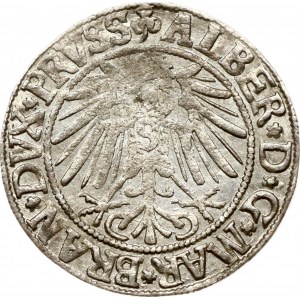 Poland Prussia (under Poland) Grosz 1543 Konigsberg