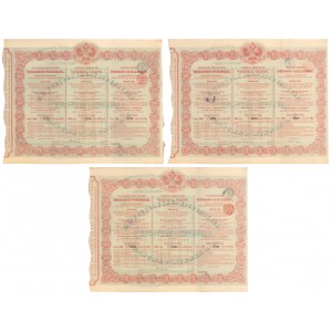 Tow. Drogi Żelaznej Warszawsko-Wiedeńskiej, Obligacja 125 rub 1860 (3szt)