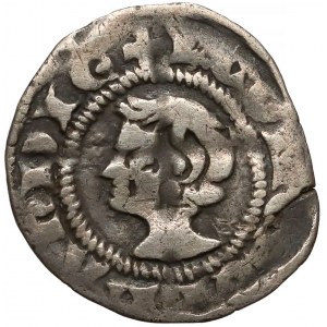 Hr. Holandii, Floris V (1256-1296), Denar Dordrecht XIII w. 