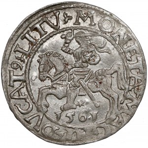 Zygmunt II August, Półgrosz Wilno 1561 - LI / LITV