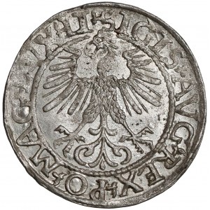 Zygmunt II August, Półgrosz Wilno 1561 - LI / LITV