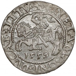 Zygmunt II August, Półgrosz Wilno 1559 - LITV 