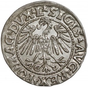 Zygmunt II August, Półgrosz Wilno 1546 - Pogoń typu 6