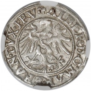 Prusy, Albrecht Hohenzollern, Grosz Królewiec 1535 - PRV