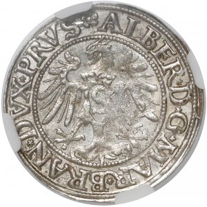 Prusy, Albrecht Hohenzollern, Grosz Królewiec 1534 - piękny