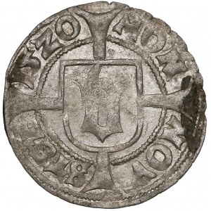 Pomorze, Ks. szczecińskie, Bogusław X, Wit Szczecin 1520