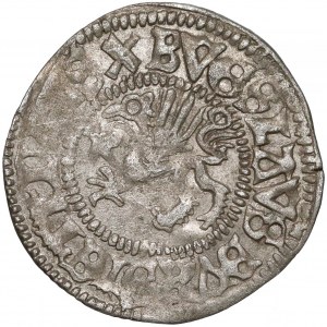 Pomorze, Ks. szczecińskie, Bogusław X, Wit Szczecin 1511 - odwrócona 5