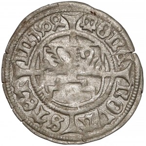 Pomorze, Ks. szczecińskie, Bogusław X, Szeląg Szczecin 1504