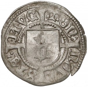 Pomorze, Ks. szczecińskie, Bogusław X, Wit Szczecin 1500