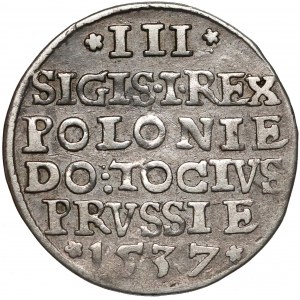 Zygmunt I Stary, Trojak Elbląg 1537 - rzadki rok 