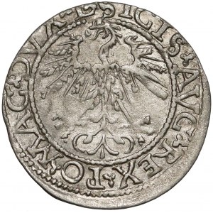 Zygmunt II August, Półgrosz Wilno 1562