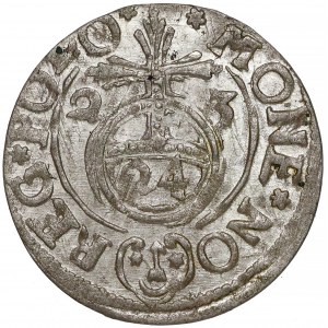 Zygmunt III Waza, Półtorak Bydgoszcz 1623