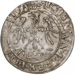 Zygmunt I Stary, Grosz Wilno 1536 - litera I - styczeń