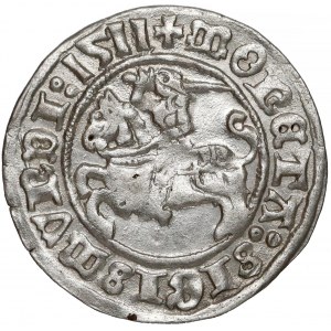 Zygmunt I Stary, Półgrosz Wilno 1511