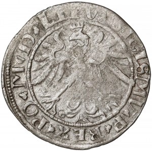 Zygmunt I Stary, Grosz Wilno 1536 - litera I - czerwiec