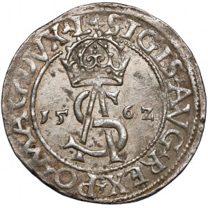 Zygmunt II August, Trojak Wilno 1562 - b.ładny