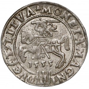 Zygmunt II August, Grosz na stopę litewską 1555 - piękny i rzadki