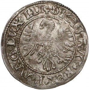 Zygmunt II August, Półgrosz Wilno 1545 - bardzo rzadki