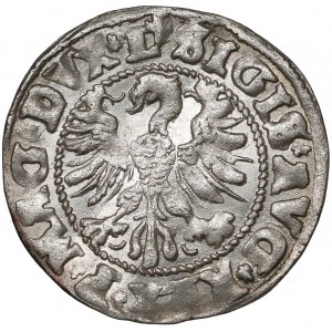 Zygmunt II August, Półgrosz Wilno 1546 - błąd MGNI - b.rzadki