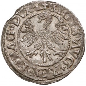 Zygmunt II August, Półgrosz Wilno 1546 - Pogoń typu 5