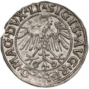 Zygmunt II August, Półgrosz Wilno 1546 - Pogoń typu 7
