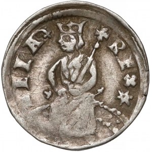 Węgry, Bela IV (1235-1270), Denar