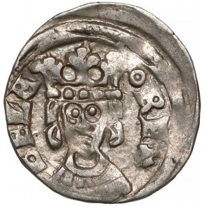 Węgry, Bela IV (1235-1270), Denar - głowa króla na wprost - BELA REX