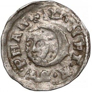 Węgry, Stefan V (1270-1272), Denar - uskrzydlony lew