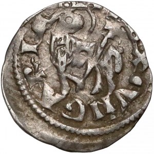 Węgry, Bela IV (1235-1270), Denar - półpostać bez napisu / Baranek - rzadki