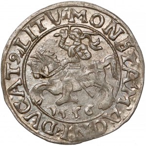 Zygmunt II August, Półgrosz Wilno 1556 - LITV