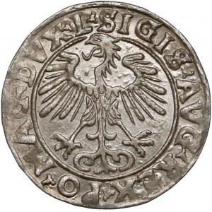 Zygmunt II August, Półgrosz Wilno 1556 - LITVA