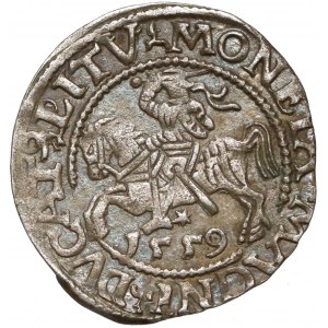 Zygmunt II August, Półgrosz Wilno 1559 - LITV - L/9