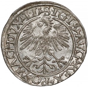 Zygmunt II August, Półgrosz Wilno 1560 - LI / LITVA